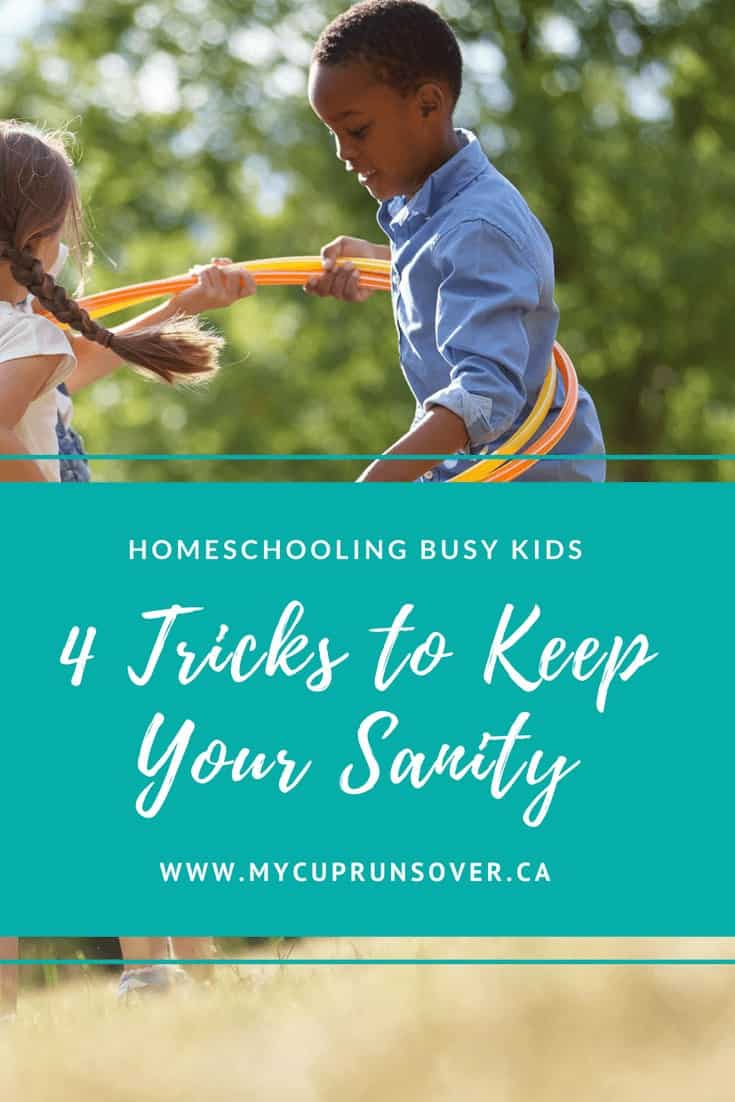 Homeschooling Busy Kids Sanity Savers