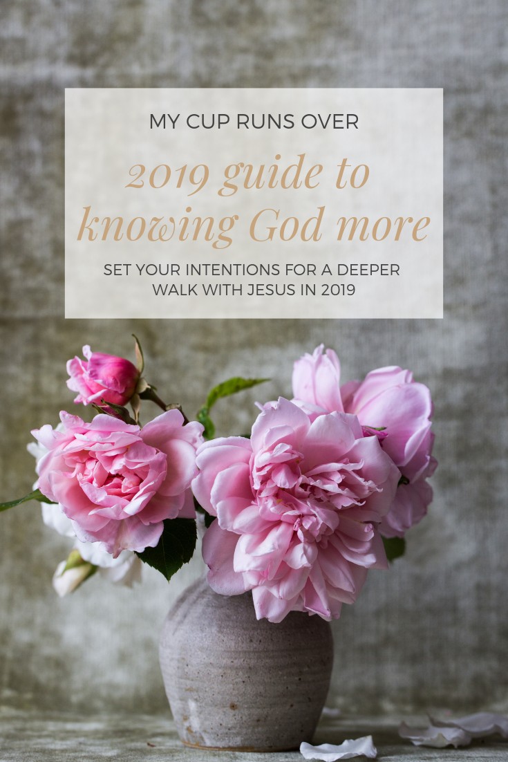 a vase of flowers with the caption: 2019 Guide to knowing God more, set your intentions for a deeper walk with Jesus in 2019
