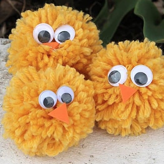 pom pom chicks.