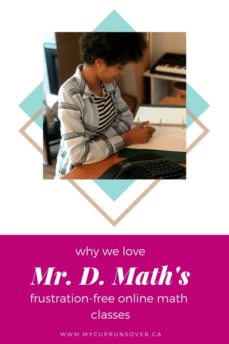 why we love Mr D's online math courses