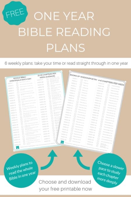 One Year Bible Reading Plan Printable