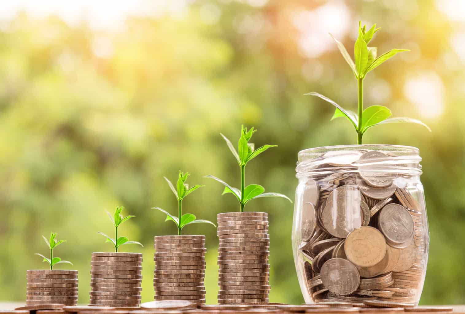 stacks of coins with plants growing out of them. a jar of coins. 