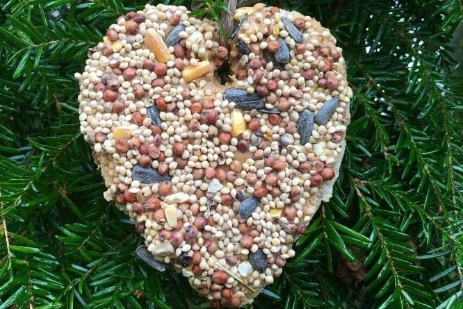 Valentine’s Day Bird Seed Ornaments