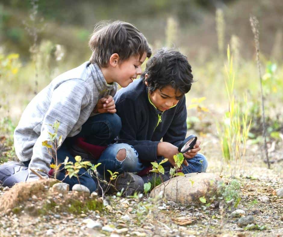 Two boys play outside in the forest, looking at bugs under a magnifying glass. When you unplug your homeschool and get back to nature, you spark creativity and problem-solving in kids. 