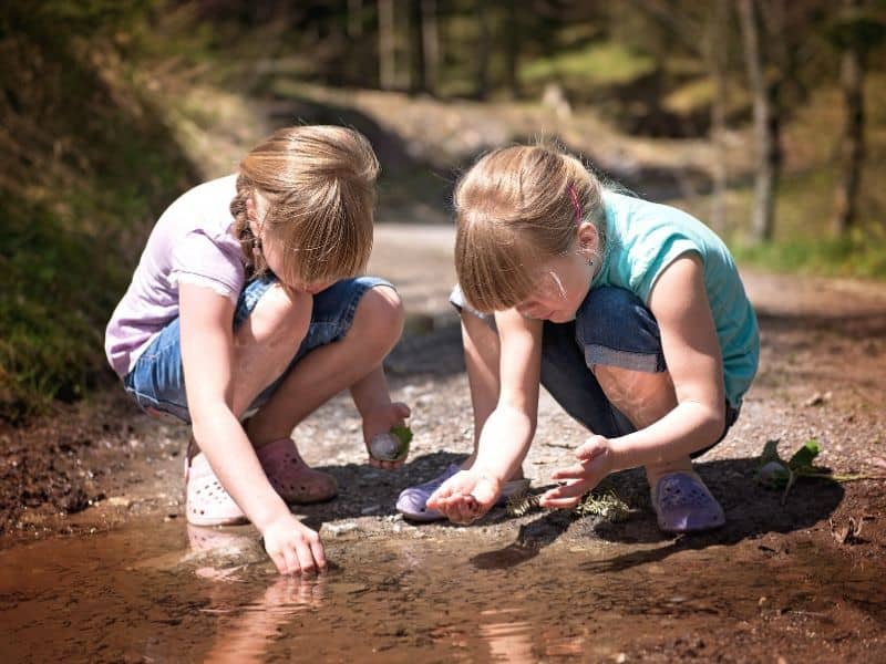 outdoor learning activities: hunting for tadpoles in a creek