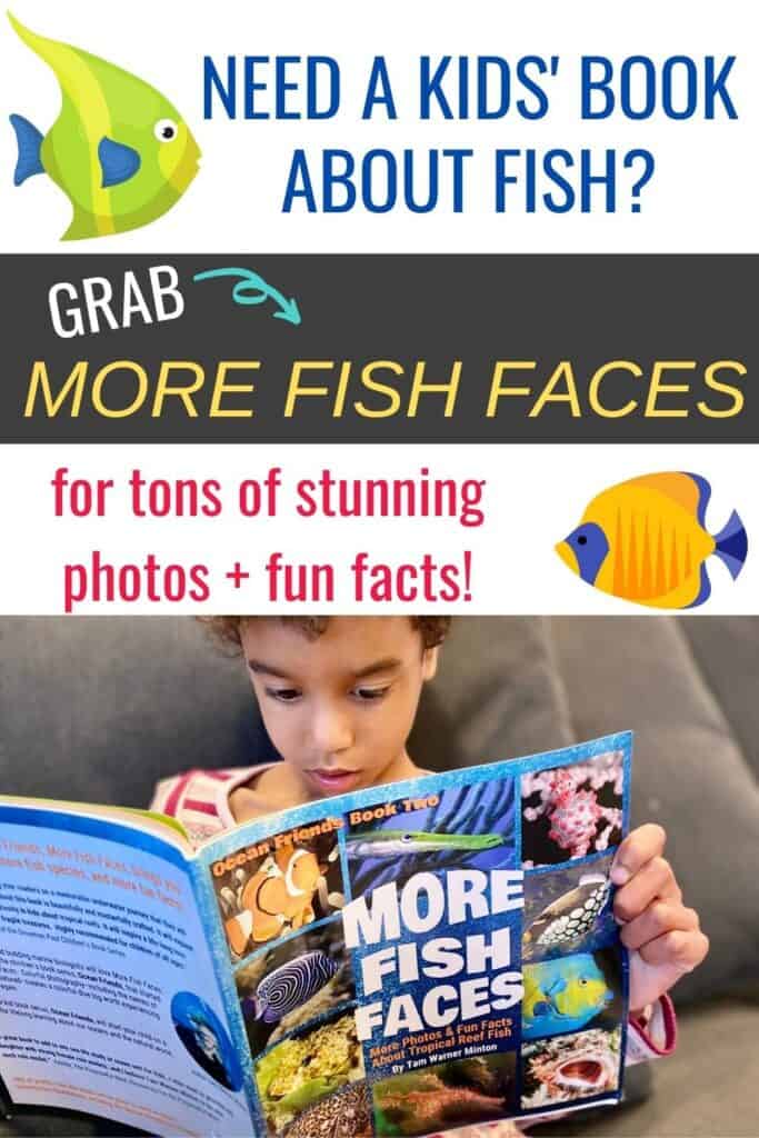 Need a kids' book about fish? Grab More Fish Faces for tons of stunning photos + fun facts