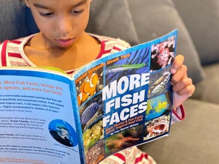 More Fish Faces is the lates kids book about fish from diver, photographer and author Tam Warner Minton. Read my full review here