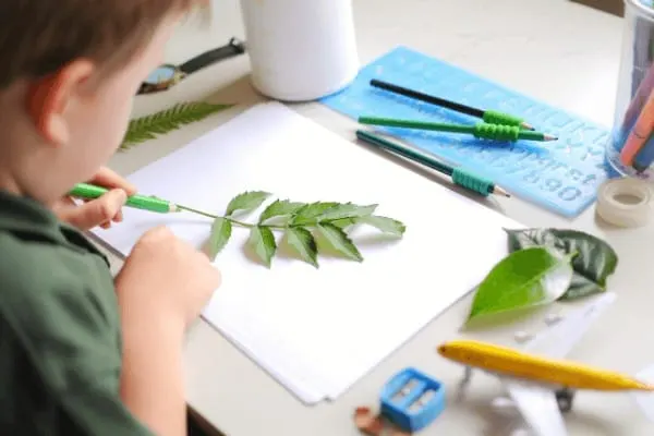a kindergarten child makes leaf drawings in a notebook