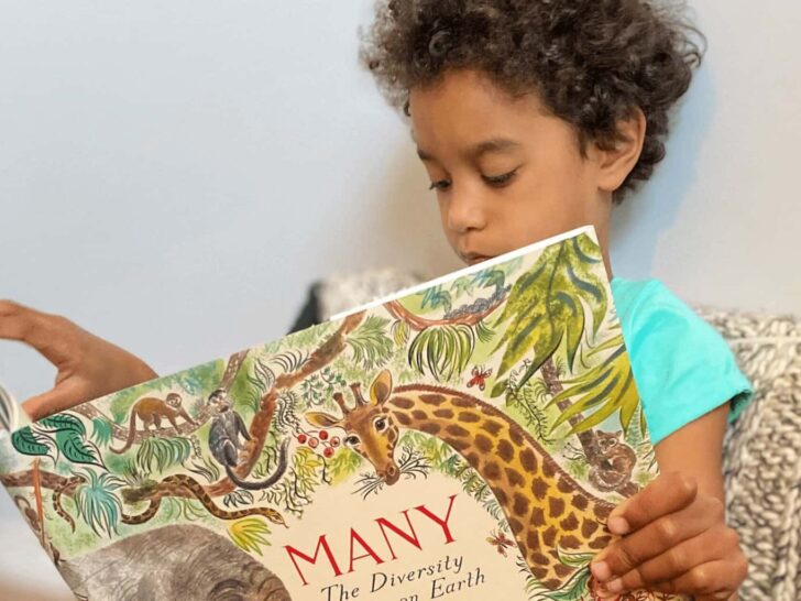 a little girl reads a book about animals | Here are seven perfect books for earth day