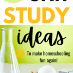 170 unit study ideas