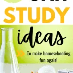 170 unit study ideas
