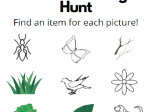 Image for Scavenger Hunts For Kids with Coloring Pages (4 scavenger hunts)