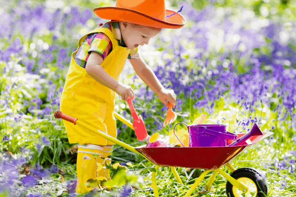 little boy with wheelbarrow and gardening tools