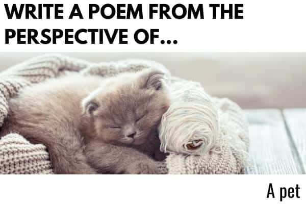 Write a poem from the perspective of... - a picture of a cat and a poetry writing prompt for kids