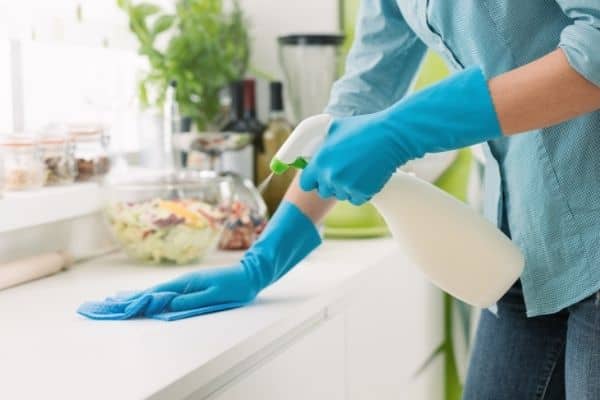 gifts that keep giving | everyone loves the gift of a clean house | a woman cleans a counter