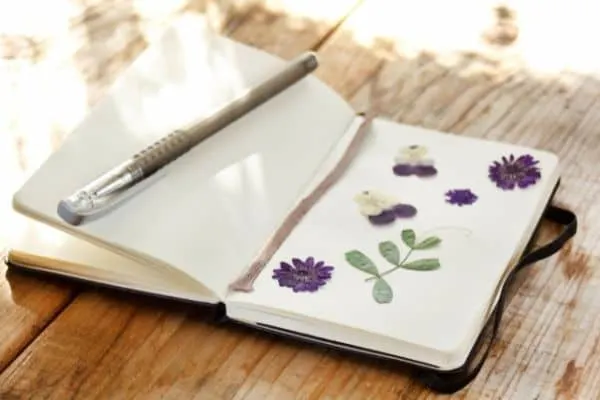 Flowers pressed into the pages of a journal