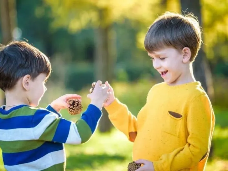 two boys share pinecones with each other in a park setting