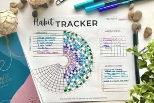 a completed circle habit tracker