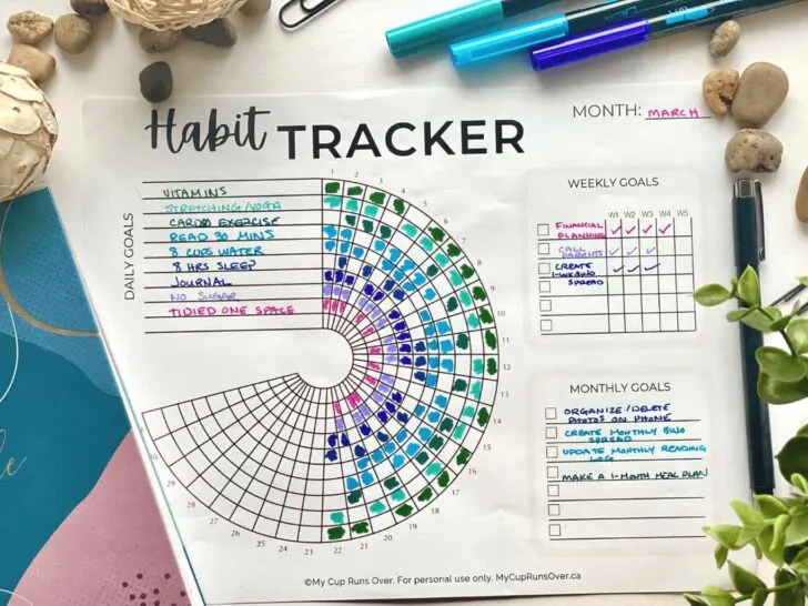 a completed circle habit tracker