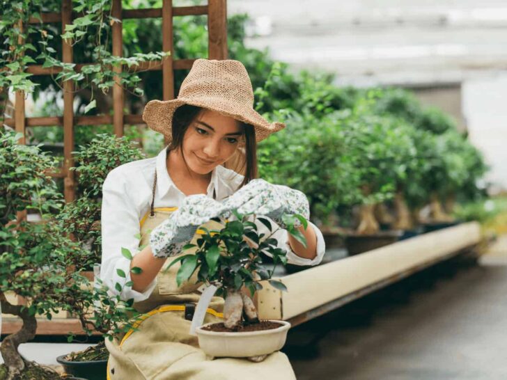 a woman works in a garden