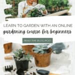learn to garden with an online gardening course for beginners