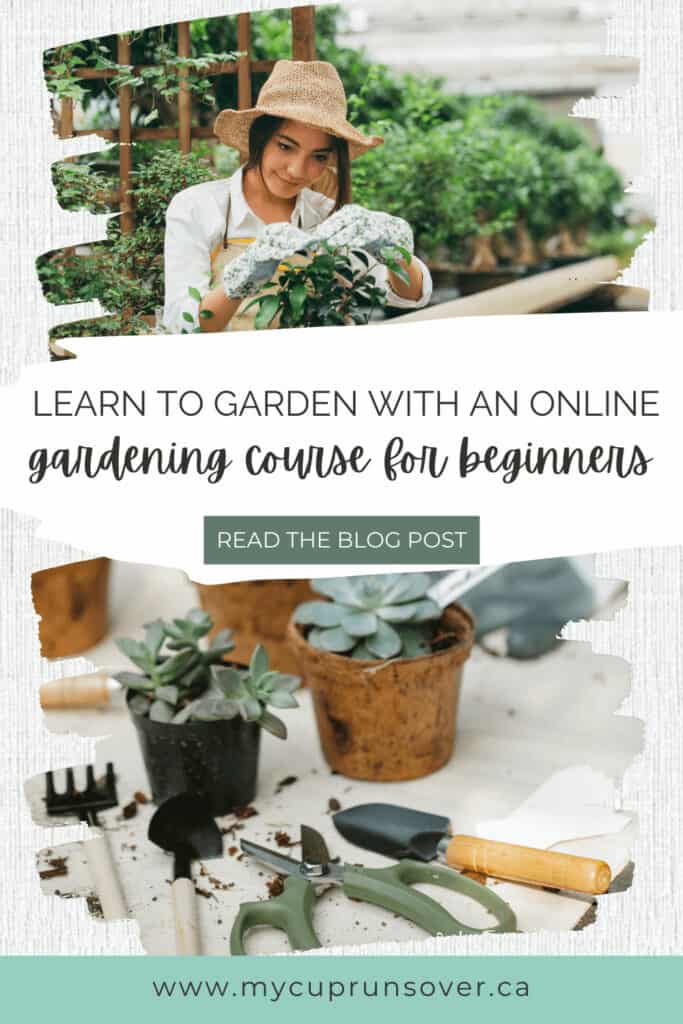 learn to garden with an online gardening course for beginners