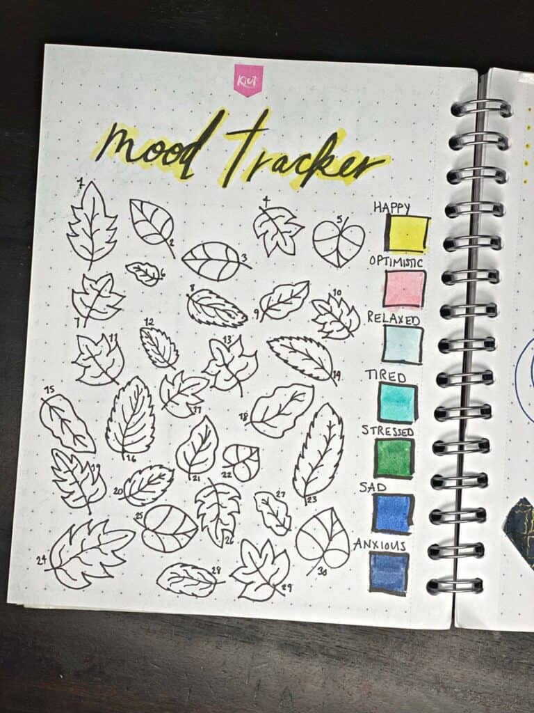 November bullet journal ideas - mood tracker