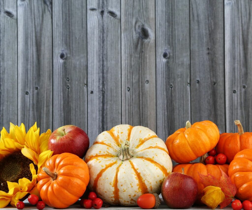a colorful display of pumpkins