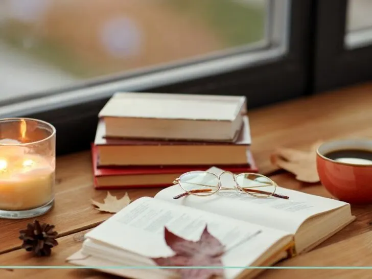 several books, a candle and some leaves by a window